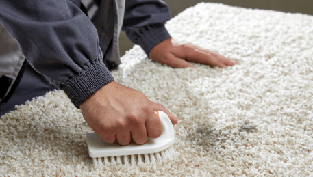 Professional Rug Cleaning Springvale